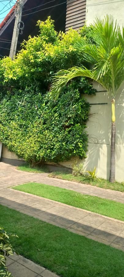 Ocean View Tourist Guest House At Negombo Beach Near The Airport Ngoại thất bức ảnh